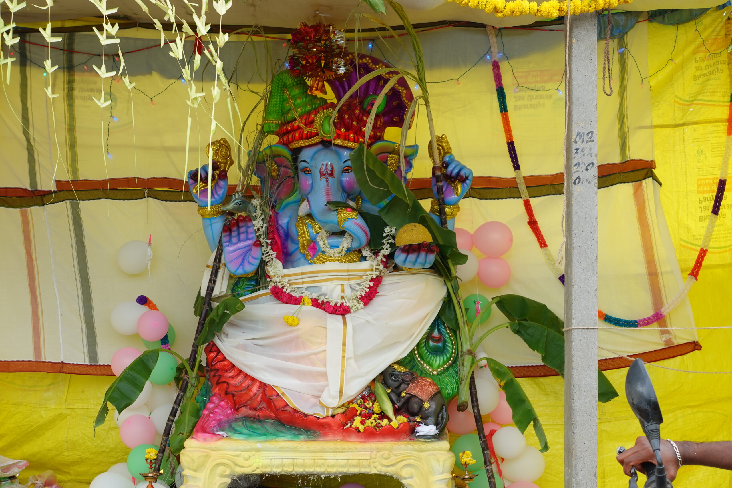 DSC00075